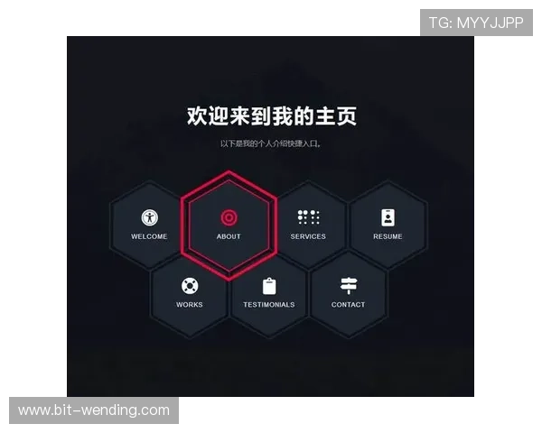 开云网址手机版会员登录界面优化，提升用户体验与快捷登录方式