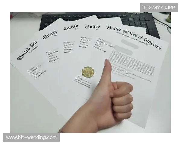 问鼎注册平台注册流程详解如何利用平台顺利完成企业登记手续，提供详细步骤指南