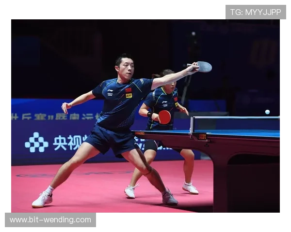 乒博体育全面解析：如何选择适合自己的专业乒乓球训练平台