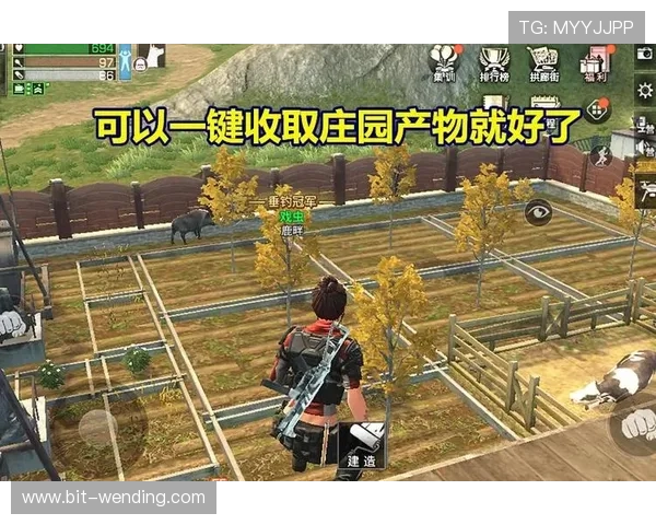 问鼎娱乐备用平台为玩家提供多样化游戏选择与优质客服支持方案 问鼎娱乐备用平台为玩家提供多样化游戏选择与优质客服支持方案